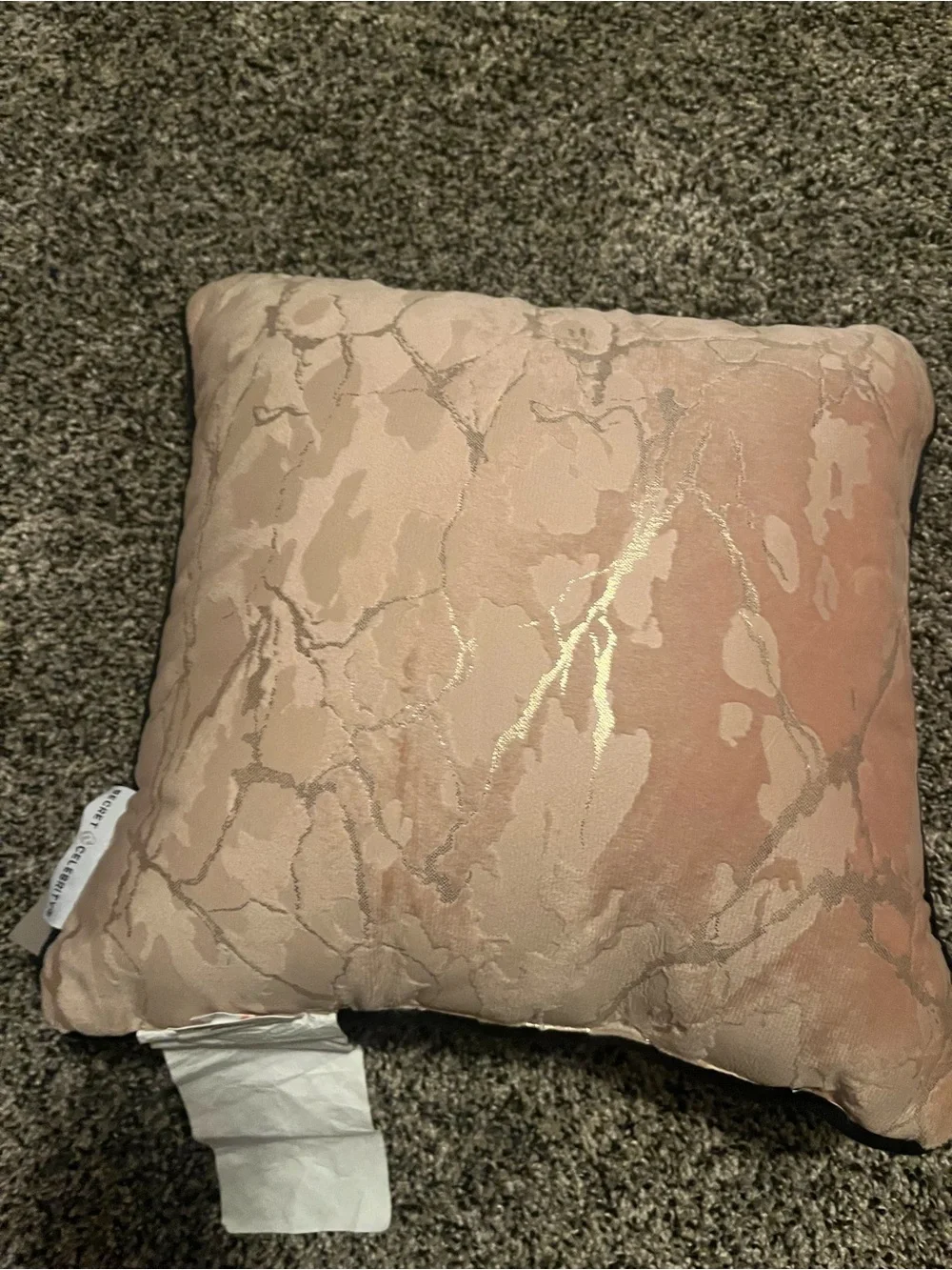 Secret Celebrity Halloween pillow